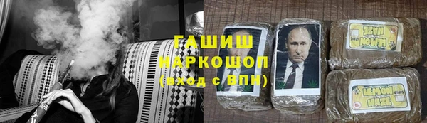 прущие грибы Алзамай